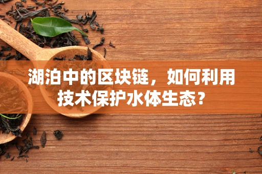 湖泊中的区块链，如何利用技术保护水体生态？