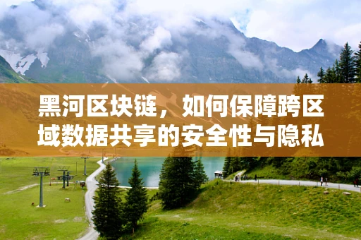 黑河区块链，如何保障跨区域数据共享的安全性与隐私性？
