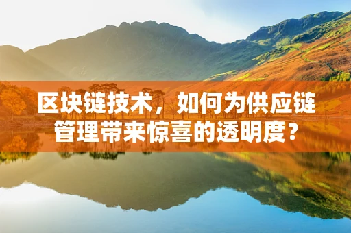 区块链技术，如何为供应链管理带来惊喜的透明度？