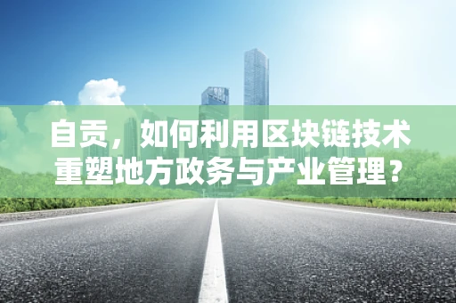 自贡，如何利用区块链技术重塑地方政务与产业管理？