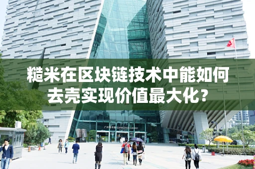 糙米在区块链技术中能如何去壳实现价值最大化？
