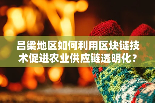 吕梁地区如何利用区块链技术促进农业供应链透明化？