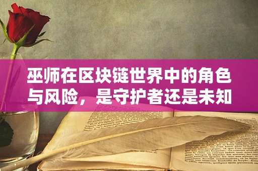 巫师在区块链世界中的角色与风险，是守护者还是未知的威胁？