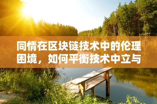 同情在区块链技术中的伦理困境，如何平衡技术中立与人性关怀？
