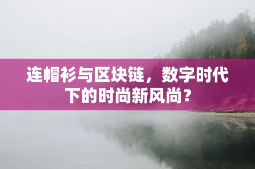 连帽衫与区块链，数字时代下的时尚新风尚？