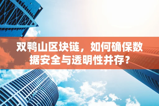 双鸭山区块链，如何确保数据安全与透明性并存？