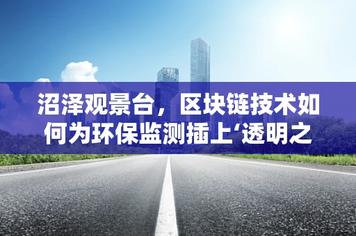 沼泽观景台，区块链技术如何为环保监测插上‘透明之翼’？