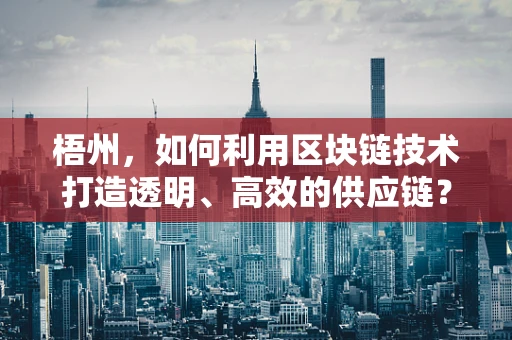梧州，如何利用区块链技术打造透明、高效的供应链？