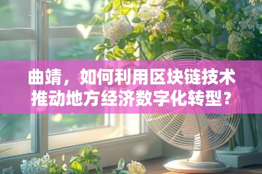 曲靖，如何利用区块链技术推动地方经济数字化转型？