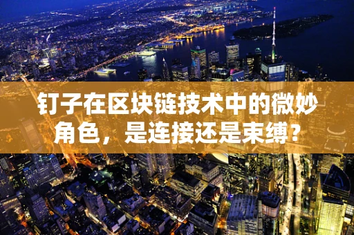 钉子在区块链技术中的微妙角色，是连接还是束缚？