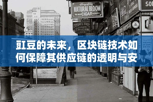 豇豆的未来，区块链技术如何保障其供应链的透明与安全？