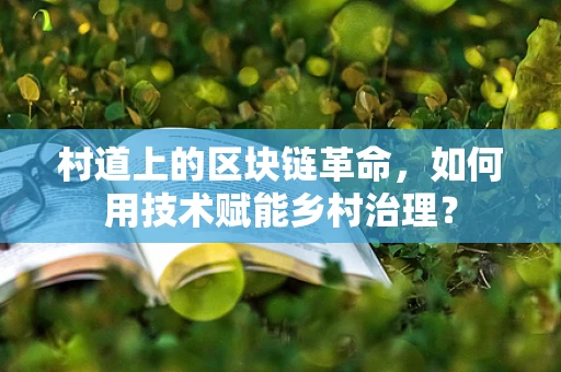 村道上的区块链革命，如何用技术赋能乡村治理？