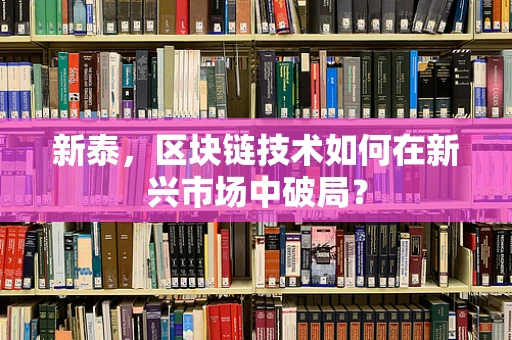 新泰，区块链技术如何在新兴市场中破局？