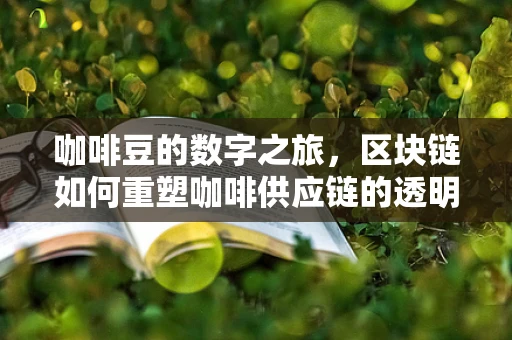 咖啡豆的数字之旅，区块链如何重塑咖啡供应链的透明度？