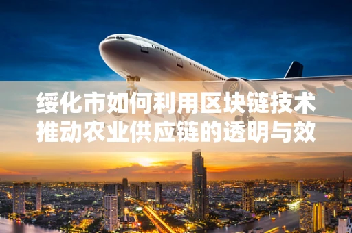 绥化市如何利用区块链技术推动农业供应链的透明与效率？