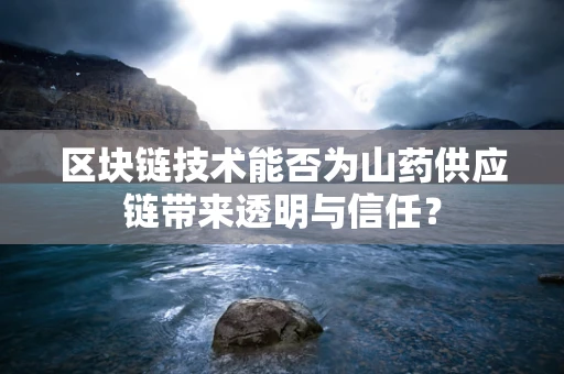 区块链技术能否为山药供应链带来透明与信任？