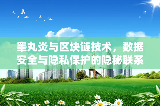 睾丸炎与区块链技术，数据安全与隐私保护的隐秘联系？