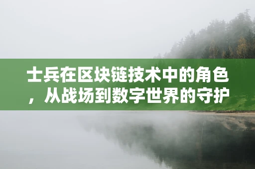 士兵在区块链技术中的角色，从战场到数字世界的守护者