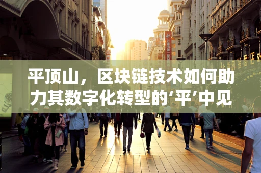 平顶山，区块链技术如何助力其数字化转型的‘平’中见‘奇’？