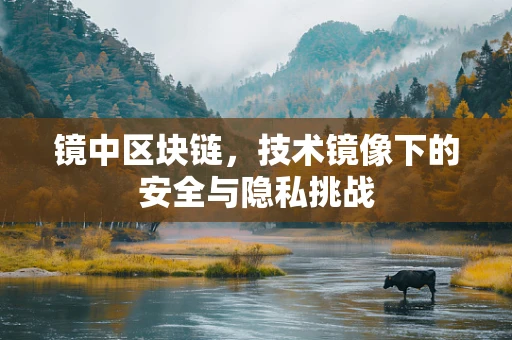 镜中区块链，技术镜像下的安全与隐私挑战