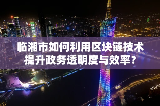 临湘市如何利用区块链技术提升政务透明度与效率？