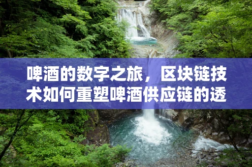 啤酒的数字之旅，区块链技术如何重塑啤酒供应链的透明度？