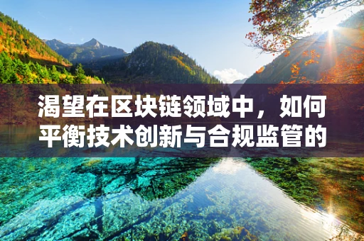 渴望在区块链领域中，如何平衡技术创新与合规监管的边界？