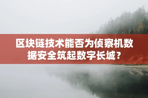 区块链技术能否为侦察机数据安全筑起数字长城？