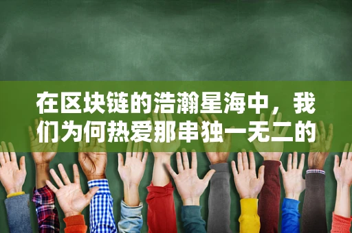 在区块链的浩瀚星海中，我们为何热爱那串独一无二的代码？