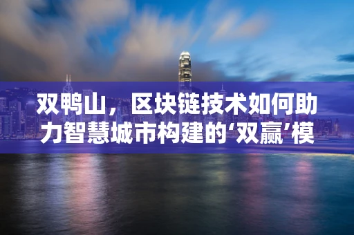 双鸭山，区块链技术如何助力智慧城市构建的‘双赢’模式？
