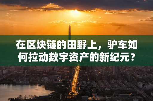 在区块链的田野上，驴车如何拉动数字资产的新纪元？
