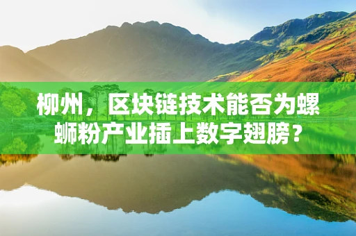 柳州，区块链技术能否为螺蛳粉产业插上数字翅膀？