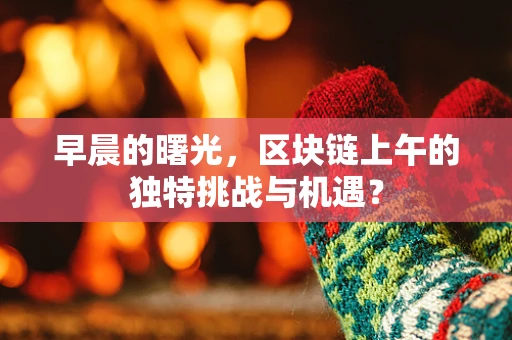 早晨的曙光，区块链上午的独特挑战与机遇？