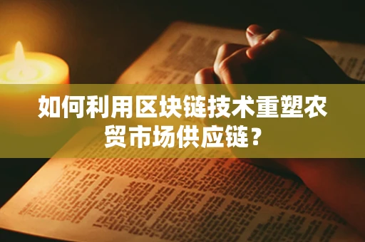 如何利用区块链技术重塑农贸市场供应链？
