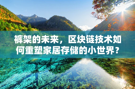 裤架的未来，区块链技术如何重塑家居存储的小世界？