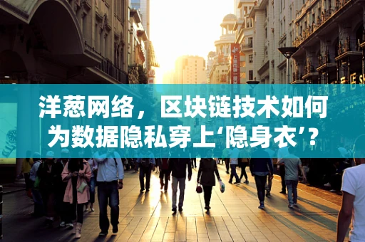 洋葱网络，区块链技术如何为数据隐私穿上‘隐身衣’？