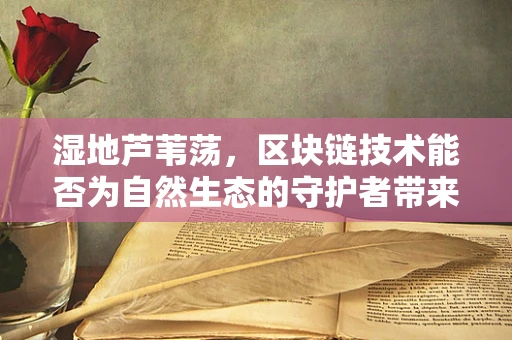 湿地芦苇荡，区块链技术能否为自然生态的守护者带来新机遇？