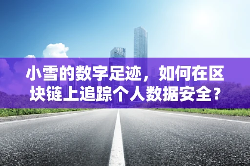 小雪的数字足迹，如何在区块链上追踪个人数据安全？