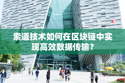 索道技术如何在区块链中实现高效数据传输？