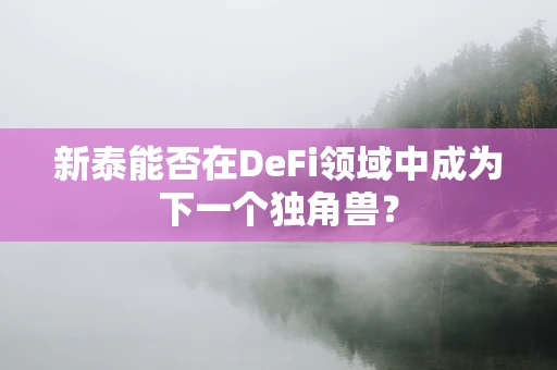 新泰能否在DeFi领域中成为下一个独角兽？