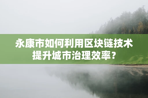 永康市如何利用区块链技术提升城市治理效率？