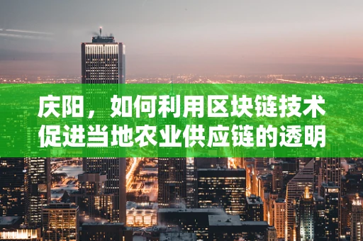 庆阳，如何利用区块链技术促进当地农业供应链的透明与效率？