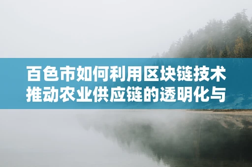 百色市如何利用区块链技术推动农业供应链的透明化与效率提升？