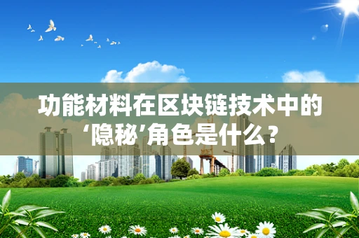 功能材料在区块链技术中的‘隐秘’角色是什么？