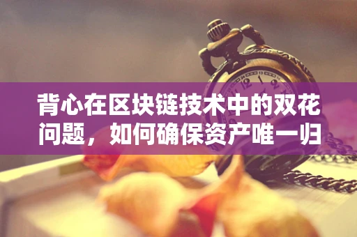 背心在区块链技术中的双花问题，如何确保资产唯一归属？