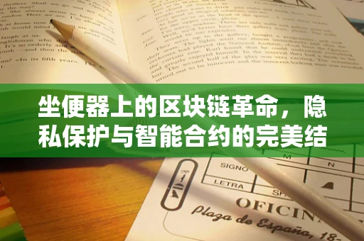 坐便器上的区块链革命，隐私保护与智能合约的完美结合
