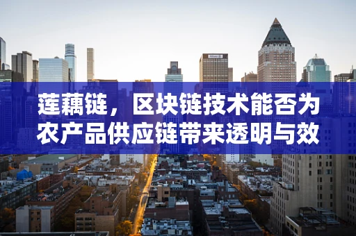 莲藕链，区块链技术能否为农产品供应链带来透明与效率？