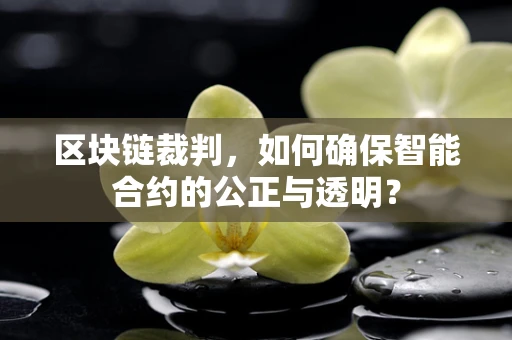 区块链裁判，如何确保智能合约的公正与透明？
