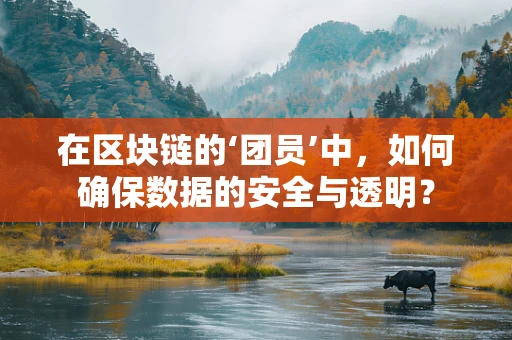 在区块链的‘团员’中，如何确保数据的安全与透明？