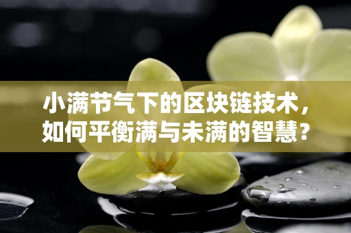 小满节气下的区块链技术，如何平衡满与未满的智慧？